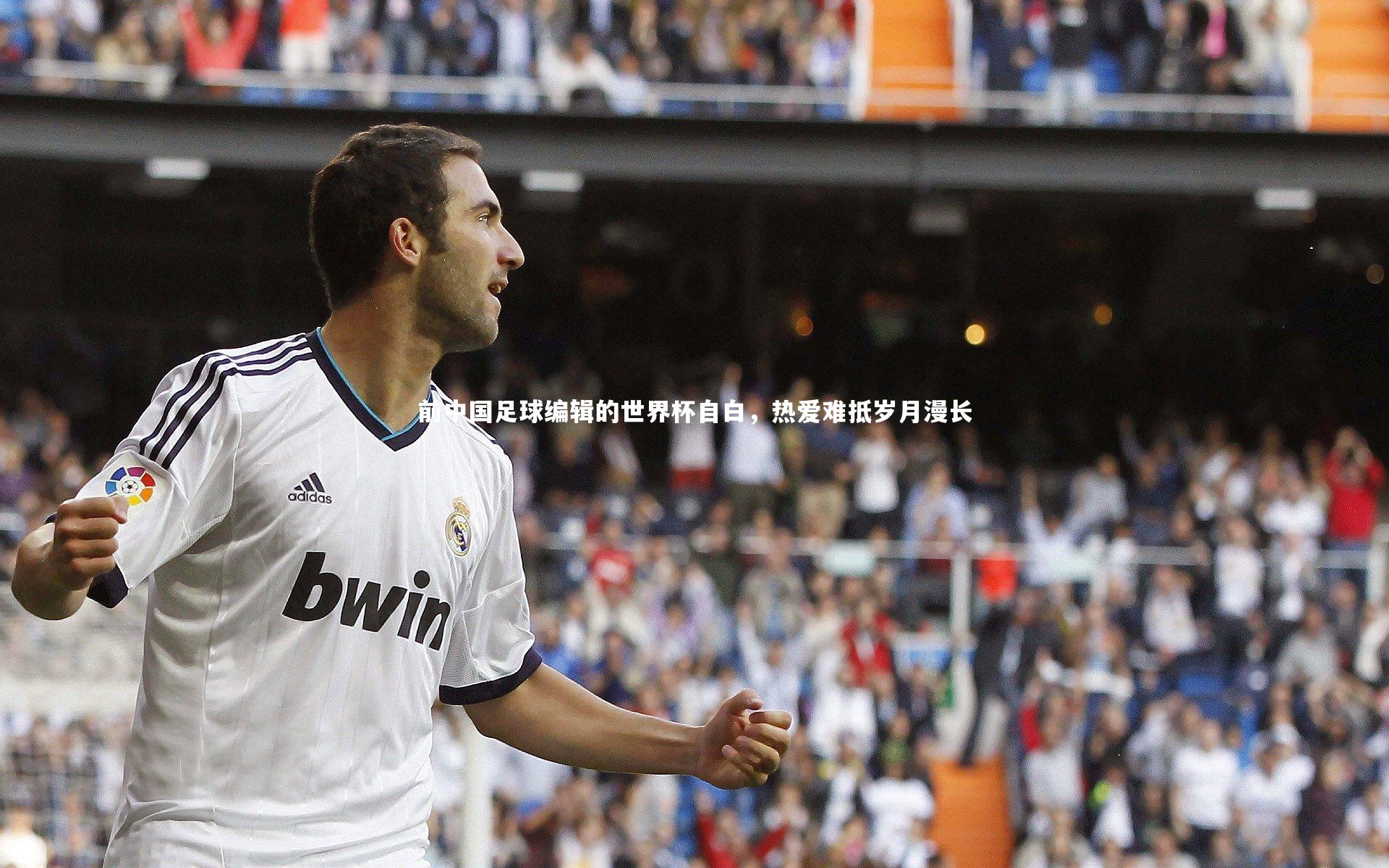 爱游戏体育官方网站-前中国足球编辑的世界杯自白，热爱难抵岁月漫长