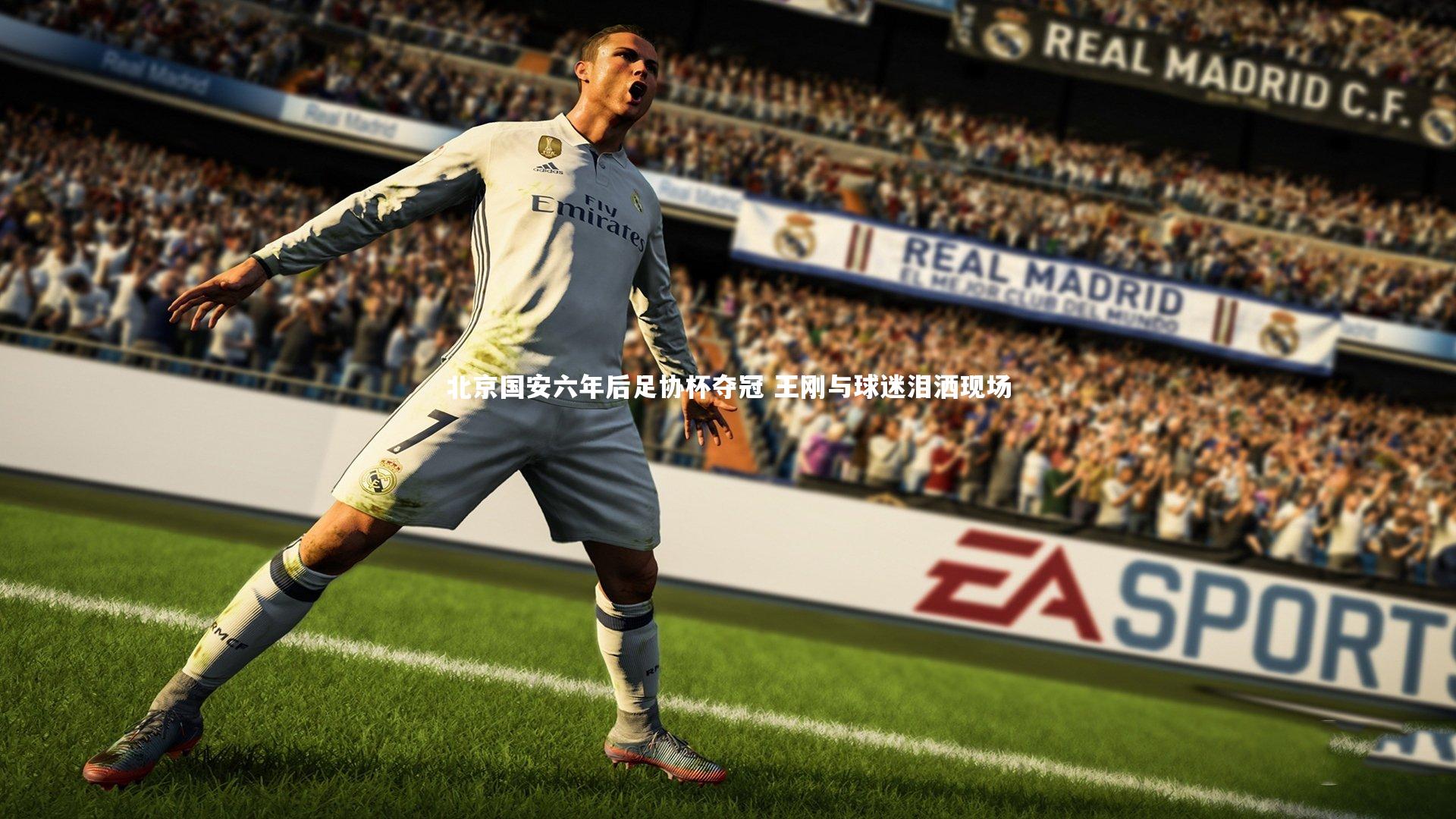 北京国安六年后足协杯夺冠 王刚与球迷泪洒现场