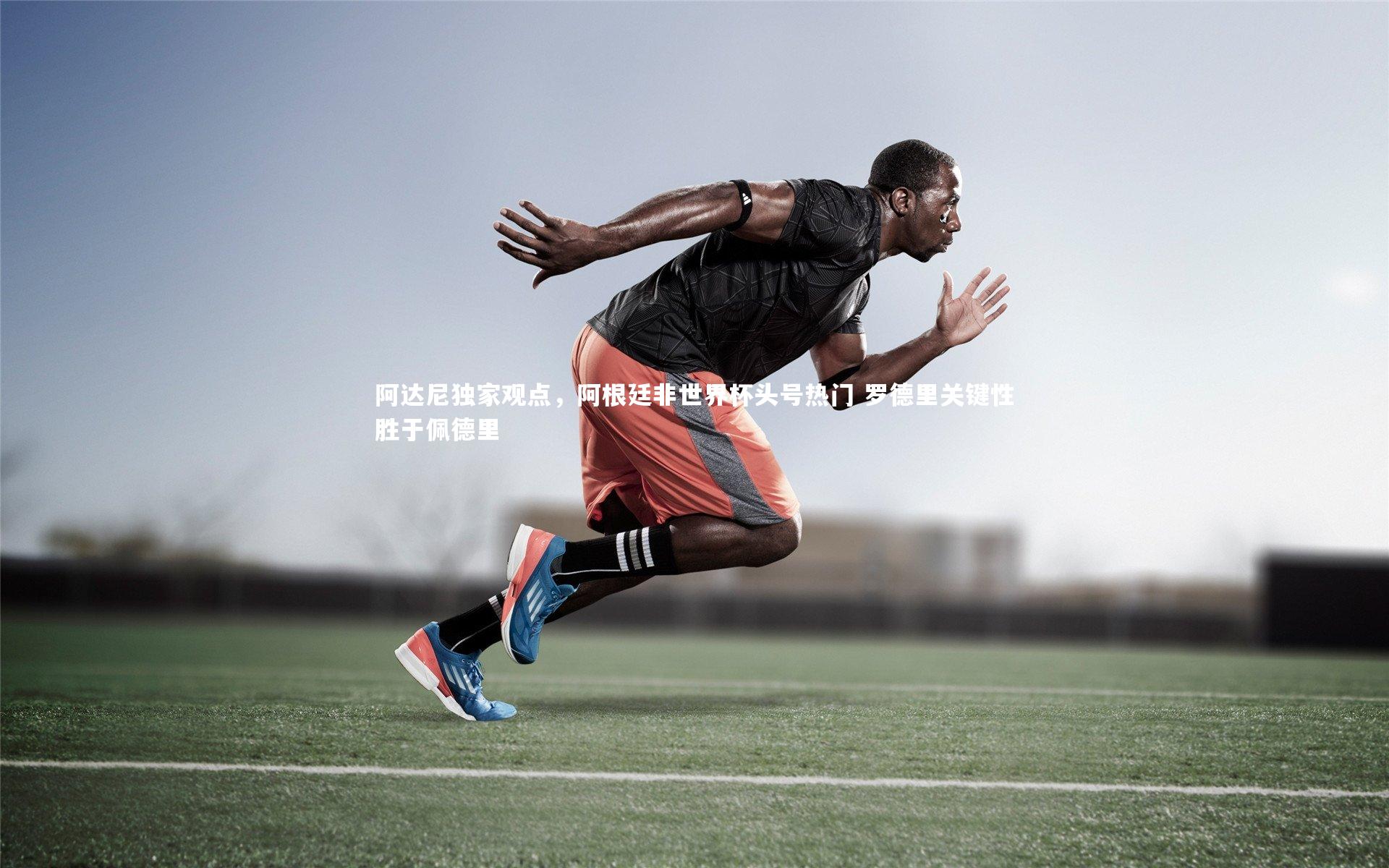 阿达尼独家观点，阿根廷非世界杯头号热门 罗德里关键性胜于佩德里